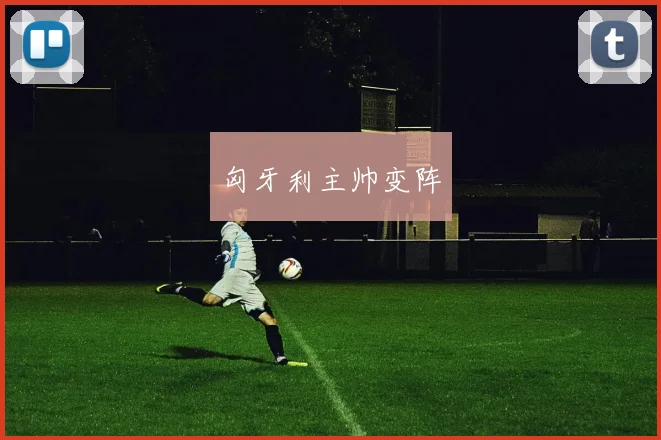 匈牙利主帅变阵