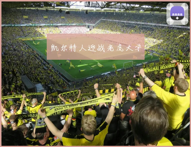 凯尔特人迎战老虎大学